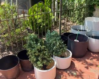 Potted Plants Collection Ceramic Planters White Pots Garden Patio Greenery Lot