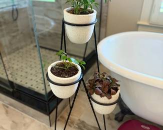 Black Metal Tiered Plant Stand White Pots Houseplants Green Indoor Garden Decor