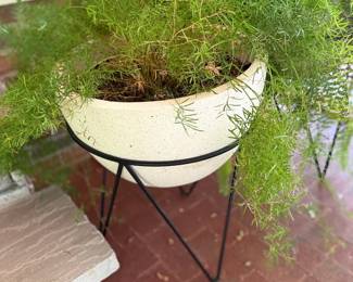 White Ceramic Planter Asparagus Fern Black Metal Plant Stand Porch Garden Decor