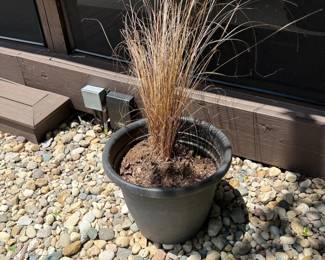 Large Potted Ornamental Grass Planter Outdoor Garden Landscaping Rock Bed Decor
