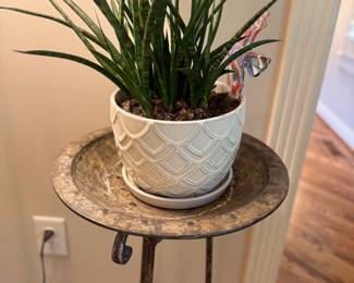 Snake Plant Sansevieria Blue White Ceramic Pot Iron Plant Stand Indoor Garden