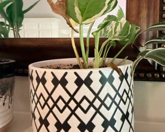 Houseplant White Black Geometric Diamond Pattern Ceramic Planter Pot Indoor