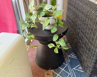 Black Pedestal Plant Stand Pothos Plant Covered Patio Outdoor Living Blue Rug