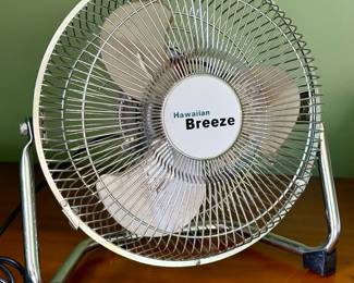 Hawaiian Breeze Fan-works