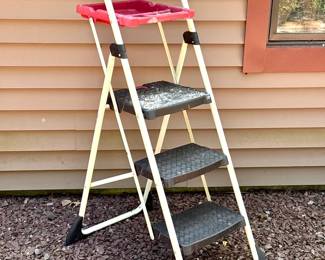 Painters Ladder