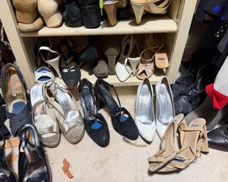 Assorted Women's Fashion Footwear