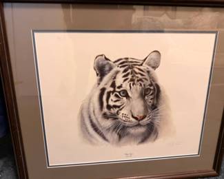 Framed signed print of a white tiger