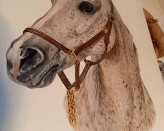 Framed C. Don Ensor signed print The Arabian, horse portrait