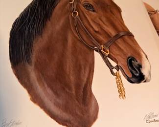 Framed C. Don Ensor signed print The Thoroughbred, horse portrait