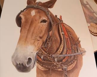 Framed C. Don Ensor signed print Old Pete, mule in harness