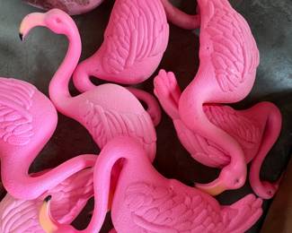 Flamingos