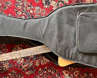 Guitar in case