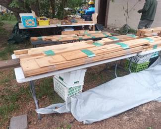 And more dead tree parts