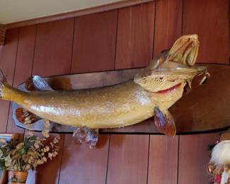 Taxidermy Northern Pike Mount second image