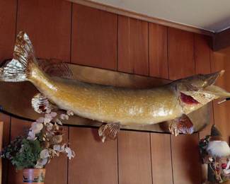 Taxidermy Northern Pike Mount
