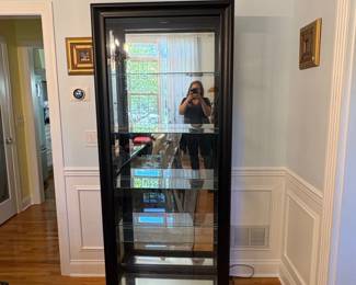 Pulaski Furniture Oxford Black TwoWay Sliding Door Curio Cabinet with Mirrored Back and Glass Shelves
