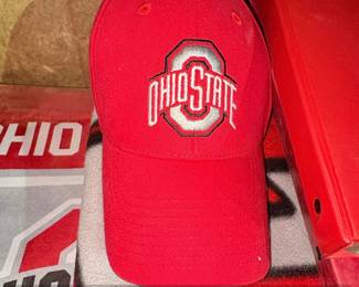 Ohio State Buckeyes Fan Bundle Baseball Cap, Fleece Blanket, Binder, and Banner second image