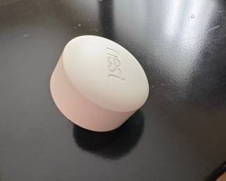 Nest AC Adapter