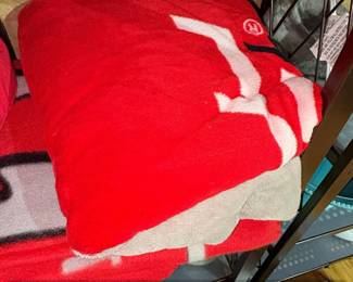 Ohio State Buckeyes Fan Bundle Baseball Cap, Fleece Blanket, Binder, and Banner third image