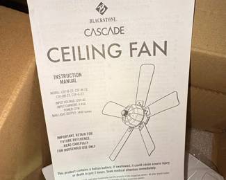 Blackstone Cascade Ceiling Fan second image