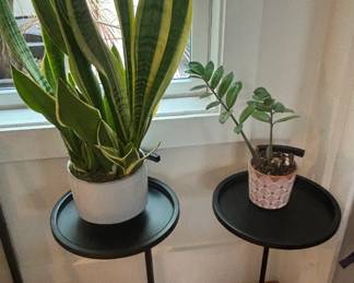 Side tables and plants