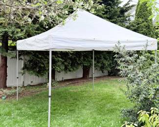139 10x10PopUpTent