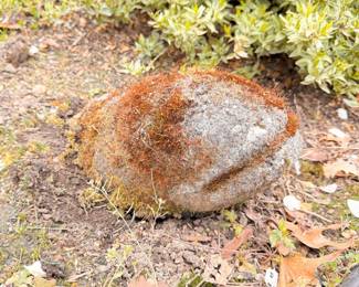 131 FishStoneLawnandGardenDecor