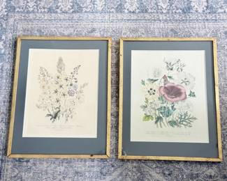 28 FramedBotanicalPrints