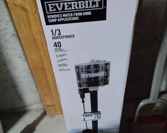 1/3 HP Plastic Pedestal Sump Pump