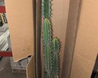 5 ft. Artificial Green Cactus in Terracotta Planter