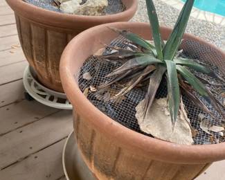 Set Of 2 Large Terracotta Pots