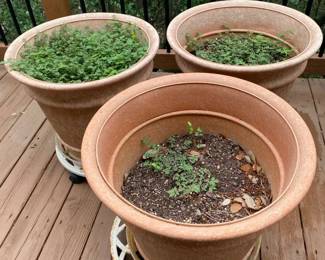 Set Of 3 Large Plastic Pots