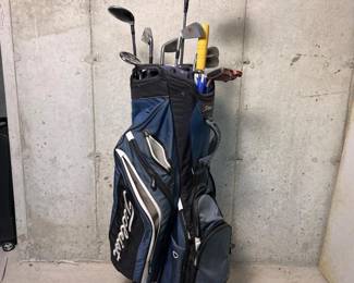 105 mixedgolfclubsetswithtitleistcarry