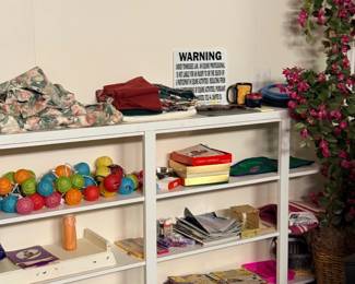 Shelves with bowling balls and books
