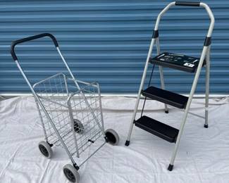 3 Step Gorilla Ladder and Shopping Cart
