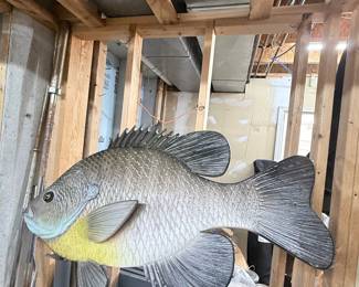 Large Bluegill Fish Replica Mount