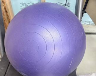 Purple Exercise Ball