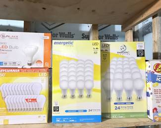 Energetic LED Light Bulbs, 5000K Daylight