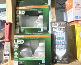 Sylvania LED Light Bulbs