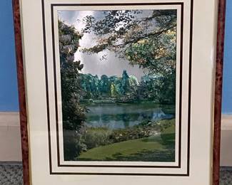 Framed Holographic Landscape Print
