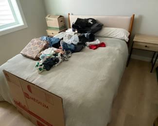 Urban Outfitters brand - Queen size bed w/ Nectar mattress 