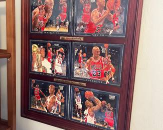 Micheal Jordan ‘Definition of Championship Plates’
