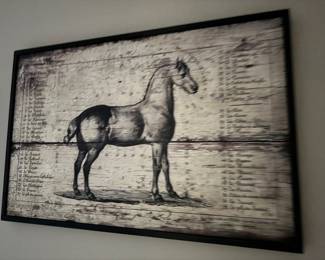 Horse Picture