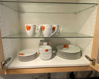 Dishware 