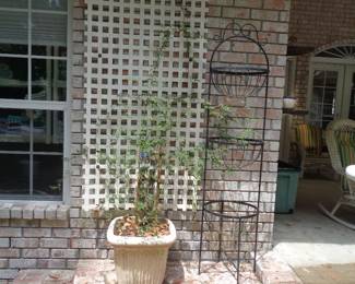 Iron Plant Stand, Yellow Rose