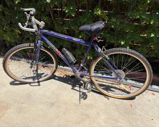 Ironman Triathalon Bike