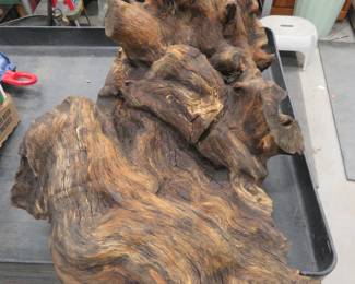 Lot 33. Weathered burl from an unknown tree species. This is a big piece that takes up half the top of our push cart