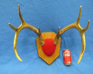 Lot 281. 8 point whitetail mount
