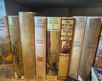 BOYS Chapter Books of all KINDS Genre
