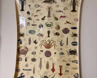 Vintage Crustacean Wall Poster